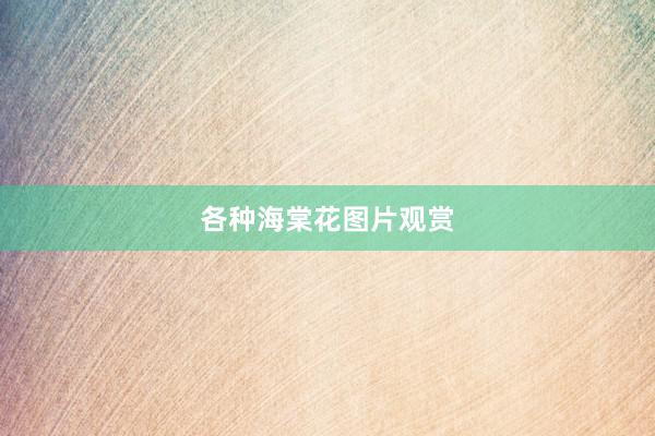 各种海棠花图片观赏